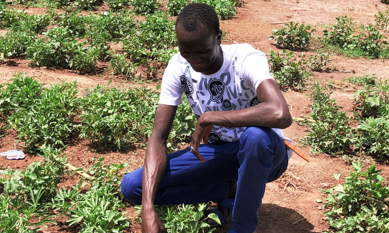 Boubacar Diallo, watering and inspecting the plants. Photo: IOM Senegal 2022
