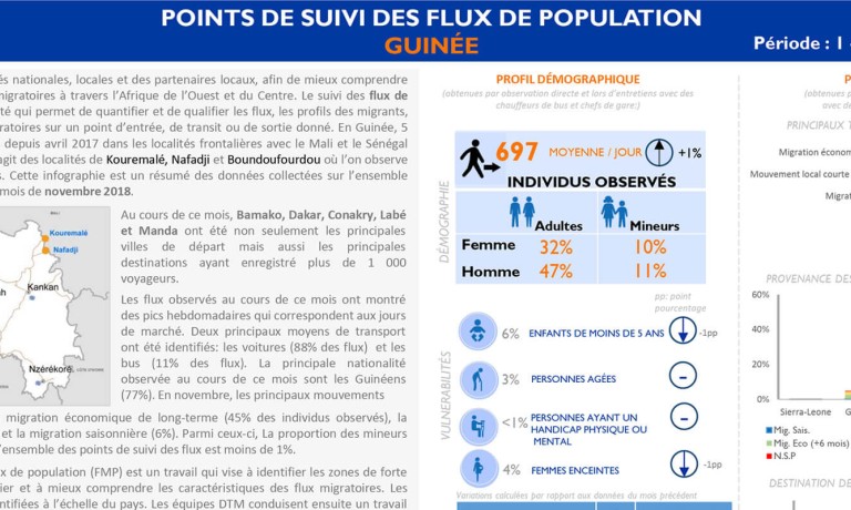 Guinea - Report on the Monitoring of Migratory Flows 18 (November 2018) [French]