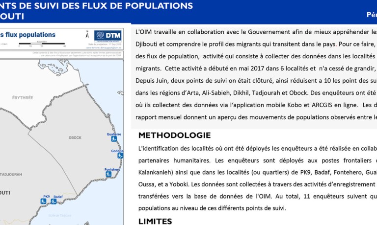 Djibouti - Report on Flux Tracking Points (1-31 August 2018) [French]