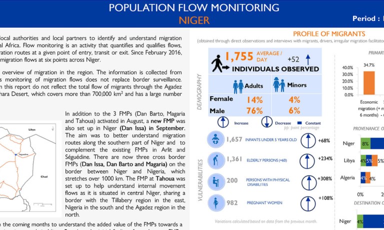 Niger - Flow Monitoring Report (November 2018)