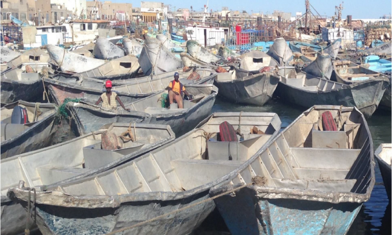 New IOM Data Collection Reveals Latest Migratory Trends in Mauritania